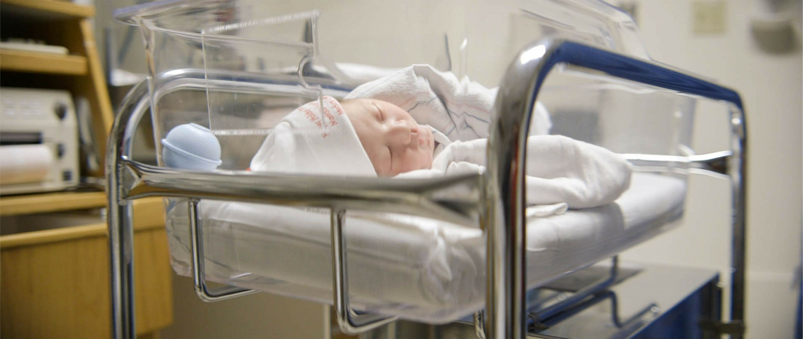 How to Have An American Baby Discussion Guide